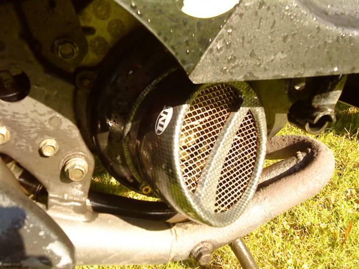 PGO hot 50 > BLACK LADY < - tnt grise tryne med chrome gitter billede 6