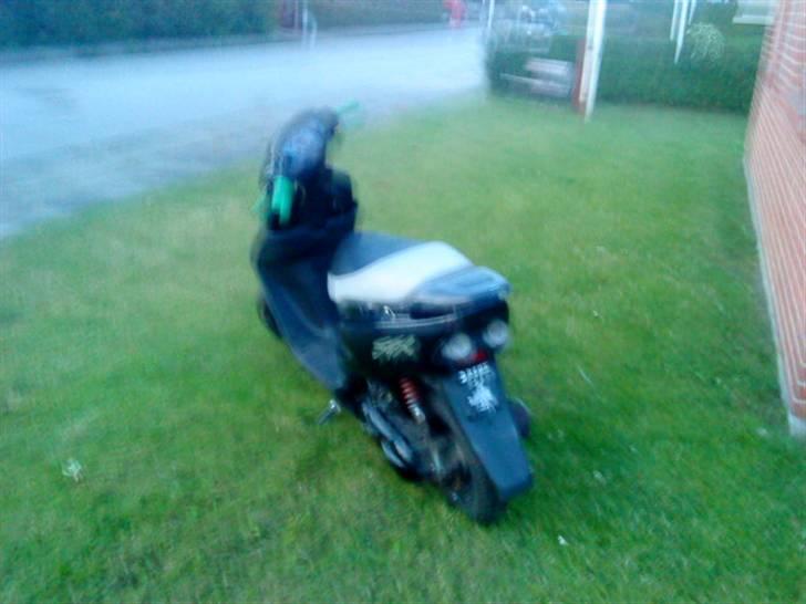 Honda sfx SOLGT billede 5