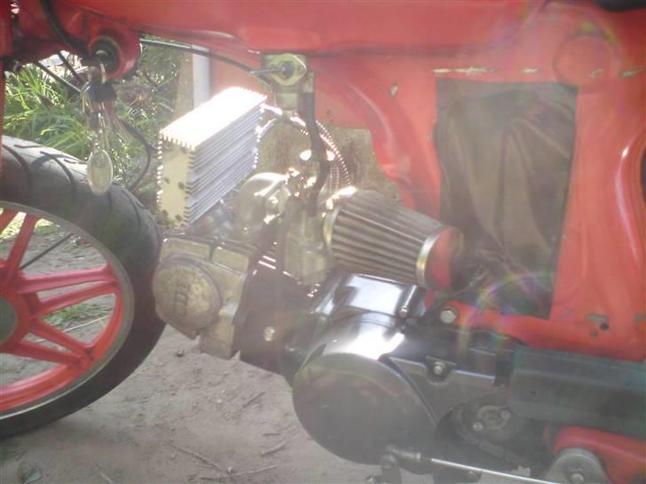 Honda cd 50 billede 4