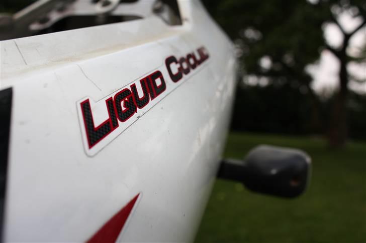 Yamaha Tzr  Solgt billede 4