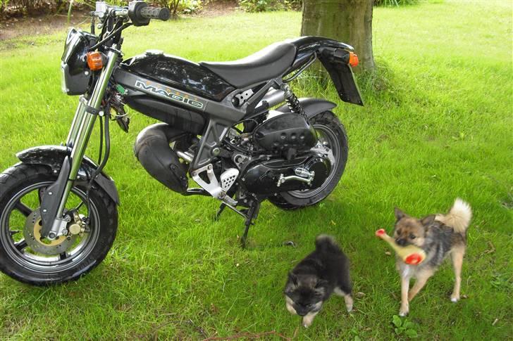 Suzuki Street Magic byttet billede 12