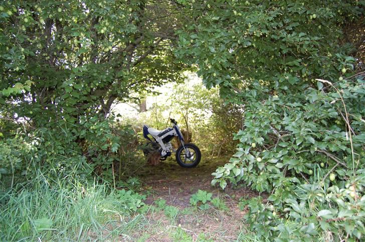 Suzuki Street sr :D solgt billede 15