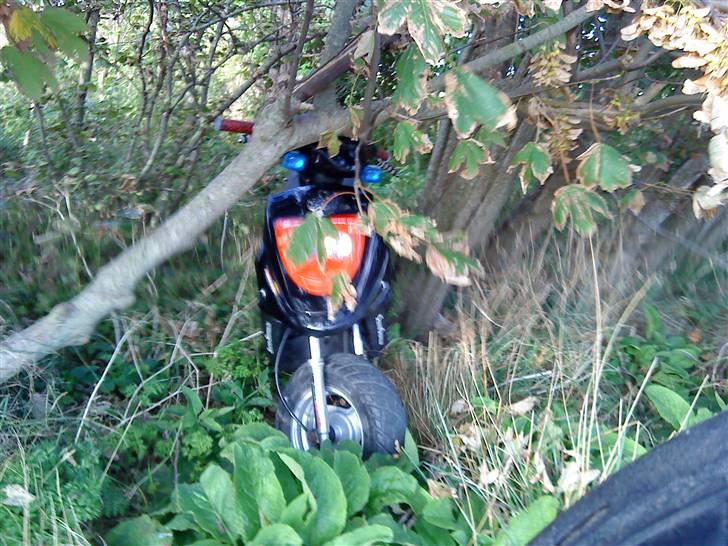 PGO Hot 50 ¤BYTTET¤ - skovtur  billede 1