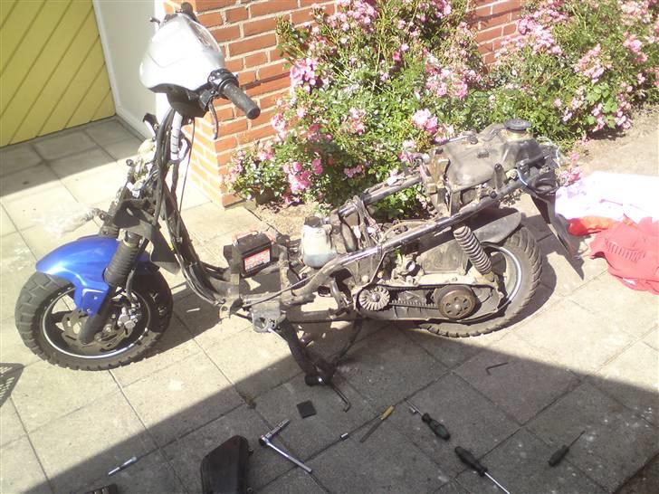 PGO Hot 50  billede 8