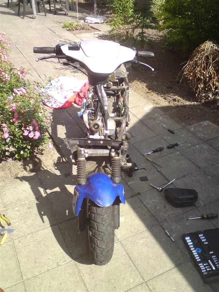 PGO Hot 50  billede 10