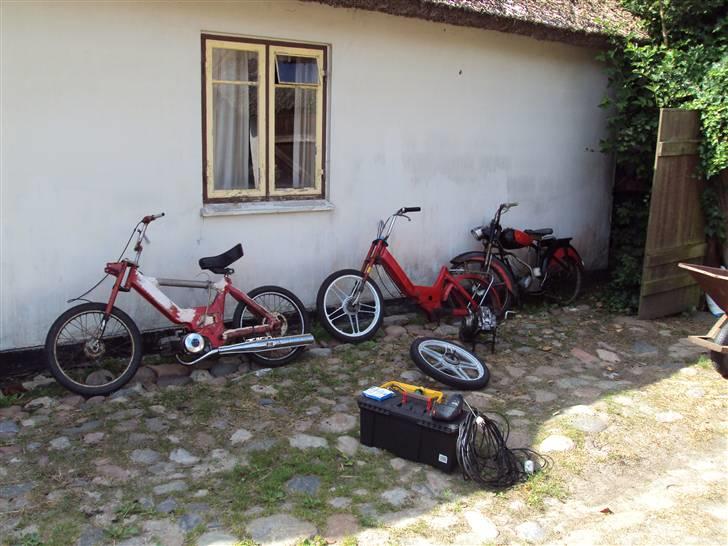 Puch Maxi  K billede 7