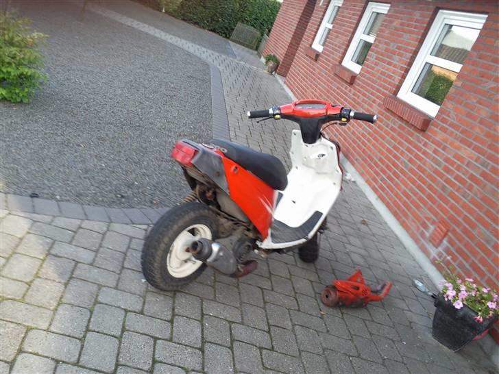 PGO hot 50 Solgt billede 4