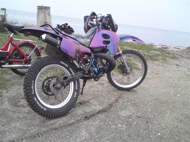 Suzuki RMX *KAMELEON*  billede 7