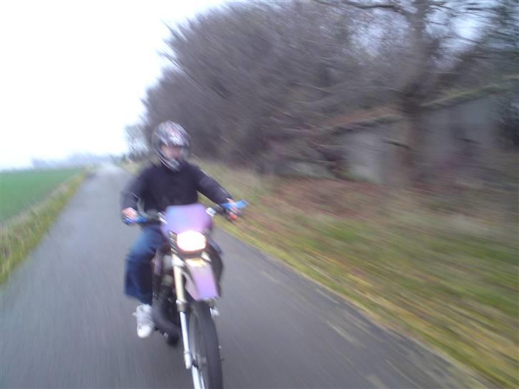 Suzuki RMX *KAMELEON*  billede 11