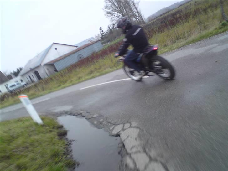 Suzuki RMX *KAMELEON*  billede 13