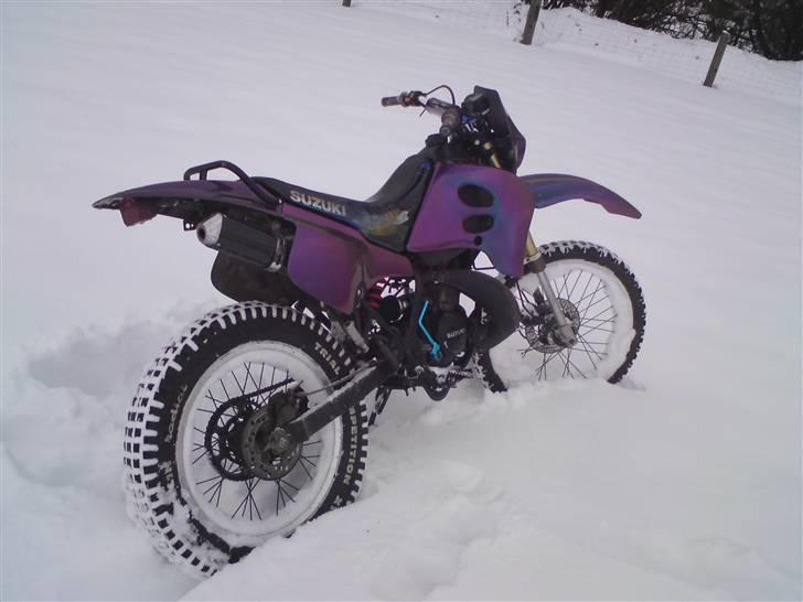 Suzuki RMX *KAMELEON*  billede 17