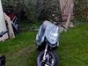 Gilera stalker