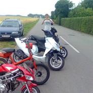 PGO dr. big til salg