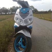 Peugeot speedfight 2 (SOLGT)