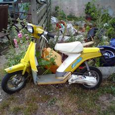 Yamaha passola (bytted)