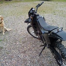 Suzuki RMX
