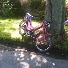 Puch maxi kl  (Solgt)