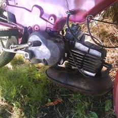 Puch maxi kl  (Solgt)