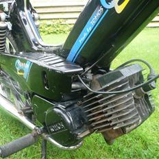 Tomos Quadro A35 SOLGT