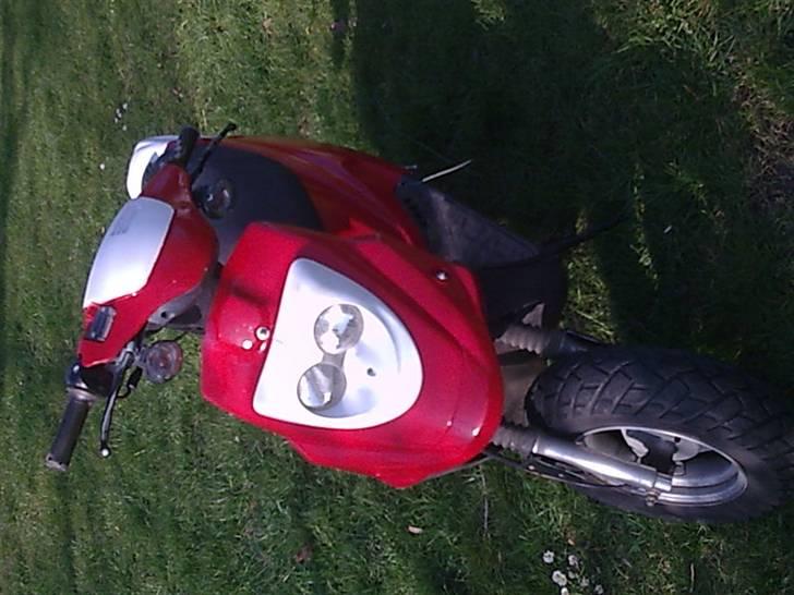 PGO Hot 50 billede 1