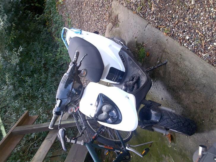 PGO Hot 50 billede 2