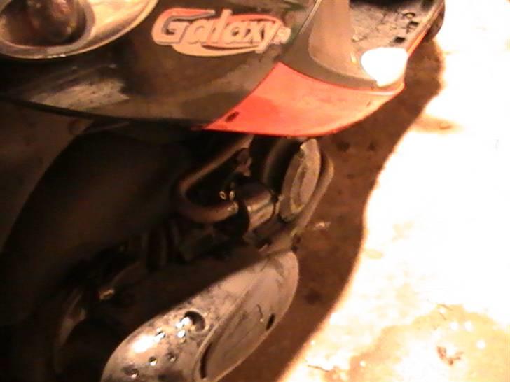 PGO  pgo galxy  - det er billede der snyder deer ike nogen riser der  billede 7