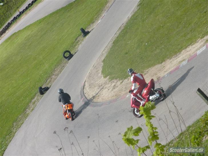 Aprilia Sonic Red Bitch - TIL SALG i dele - Asw 2010 billede 6