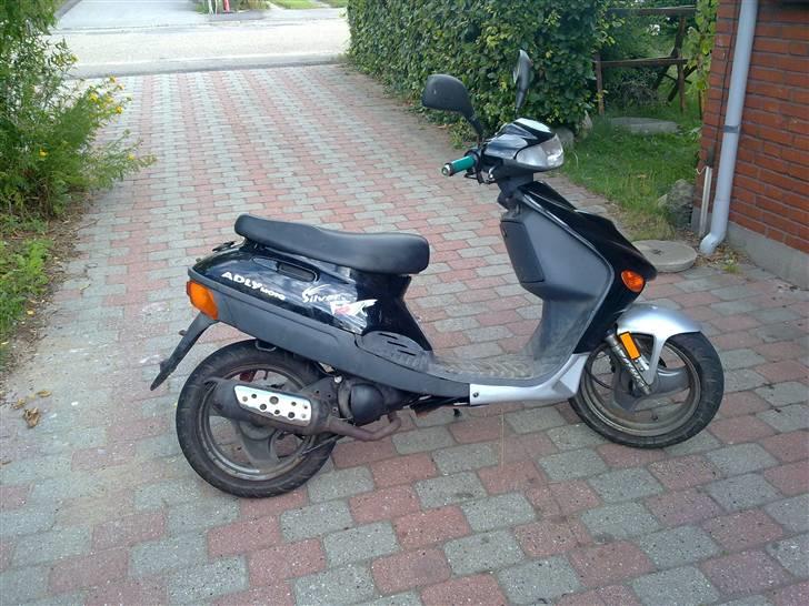 Adly Silver fox billede 1