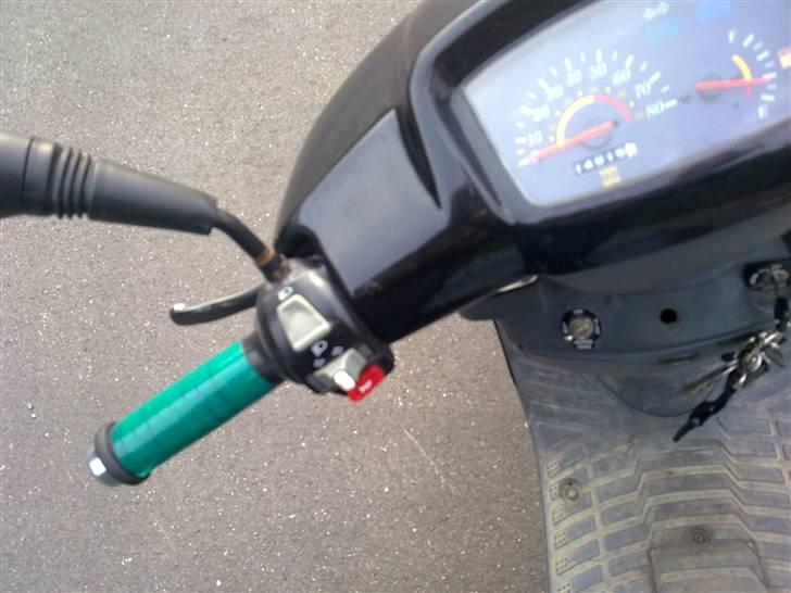 Adly Silver fox billede 2