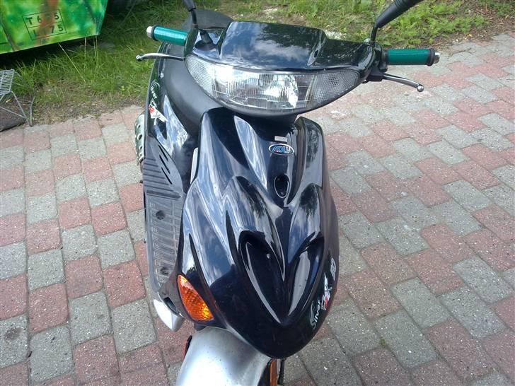 Adly Silver fox billede 4