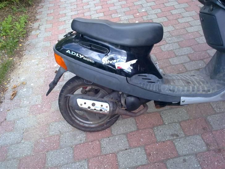 Adly Silver fox billede 5