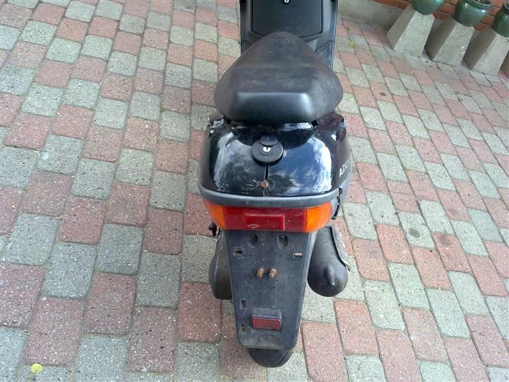 Adly Silver fox billede 6