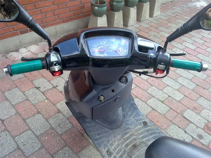 Adly Silver fox billede 7