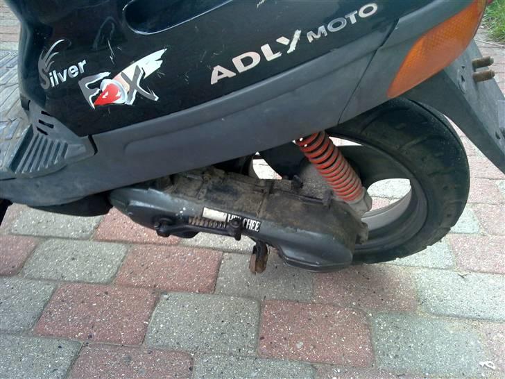 Adly Silver fox billede 8