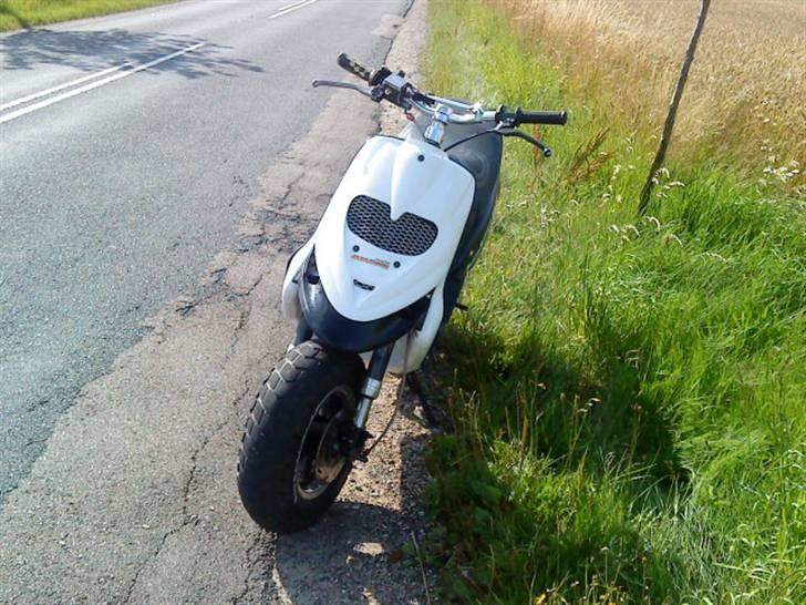 Gilera stalker væk billede 4