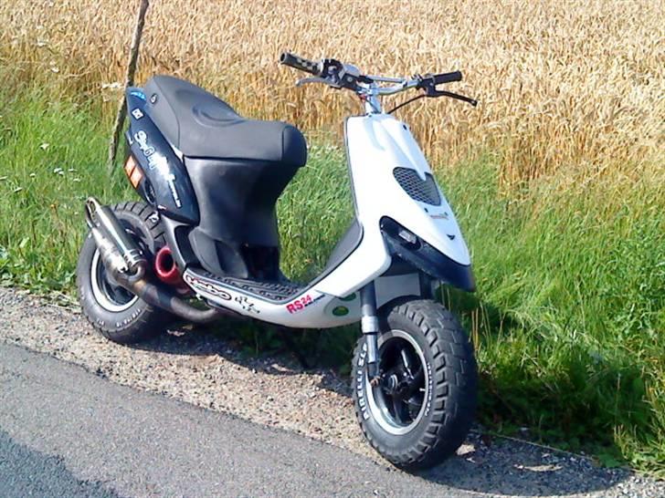 Gilera stalker væk billede 5