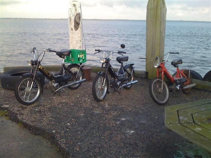 Puch Maxi K Retro billede 5