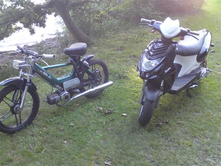 Puch Maxi K billede 5