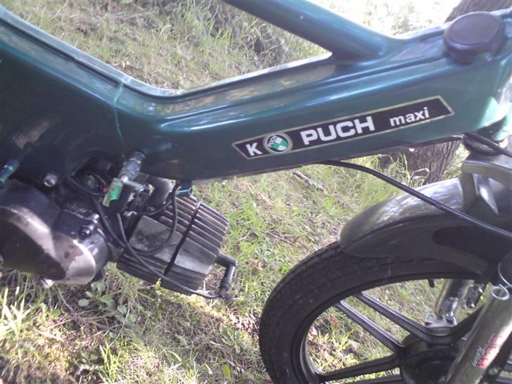 Puch Maxi K billede 6