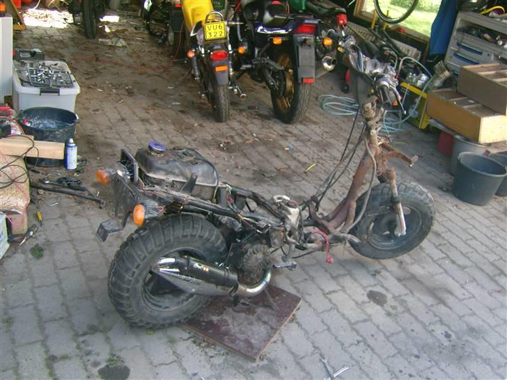 PGO Hot 50 Projekt billede 1