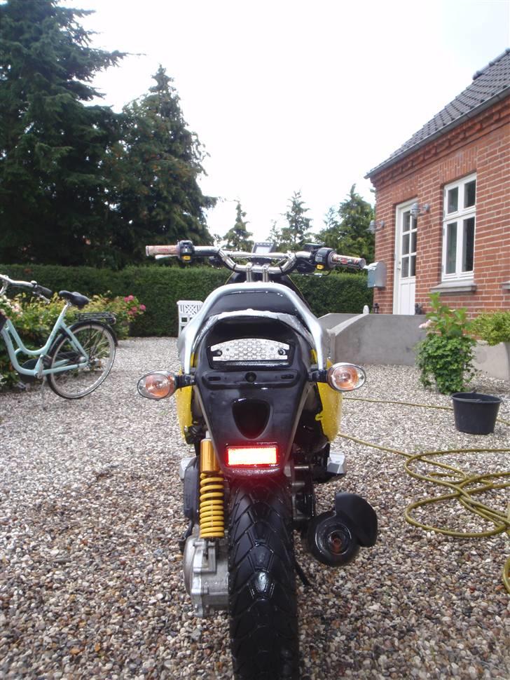 PGO PMX Naked - solgt billede 5