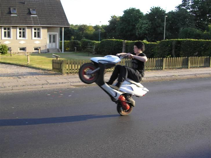 PGO Dr. big Sport Pro - Niels pils, den fucked spasser. billede 19