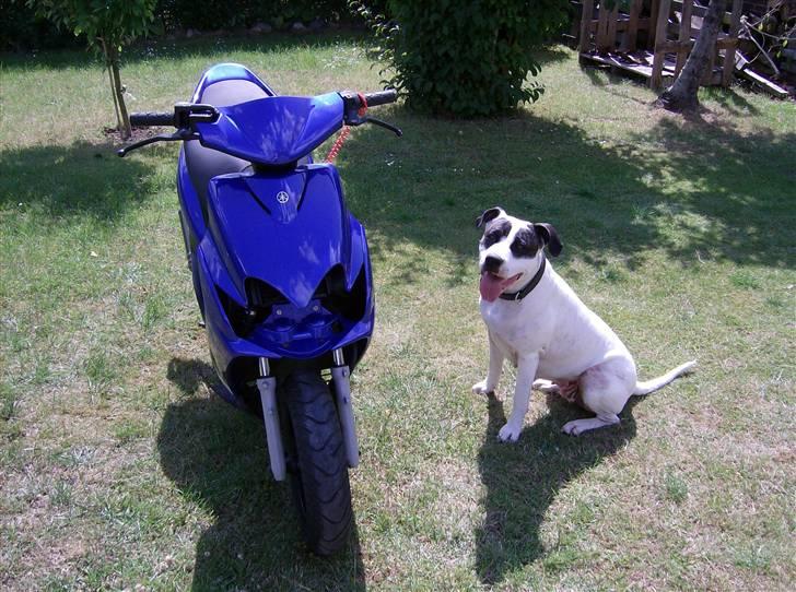 Yamaha Jog R TS7 SOLGT billede 8