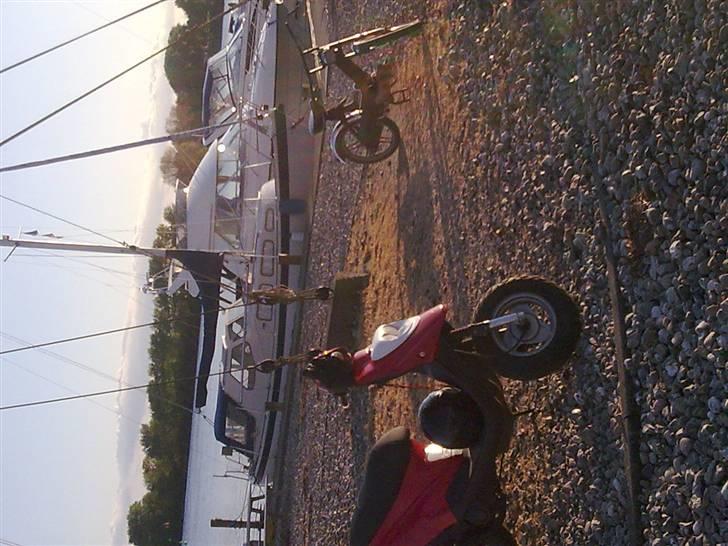 PGO Hot 50 billede 5