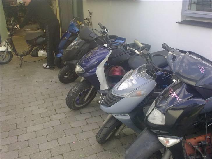 CPI Hussar *HOT500* *SOLGT* billede 20