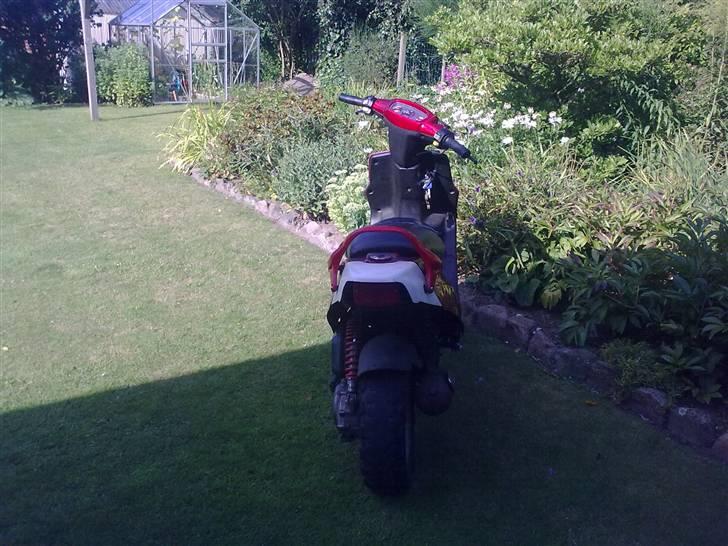 PGO hot 50 billede 3