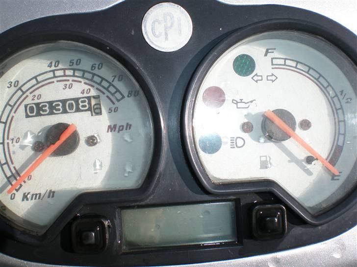 CPI hussar (Solgt) billede 2