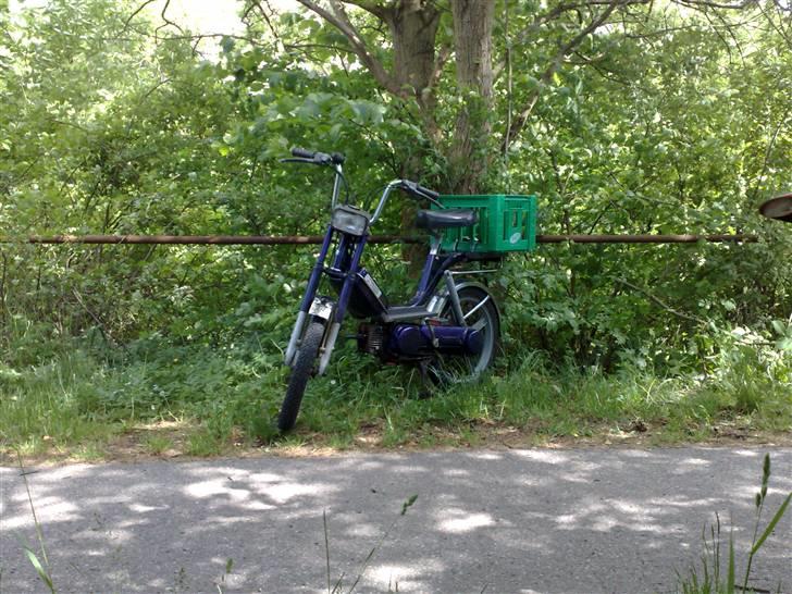 Vespa Bravo billede 8