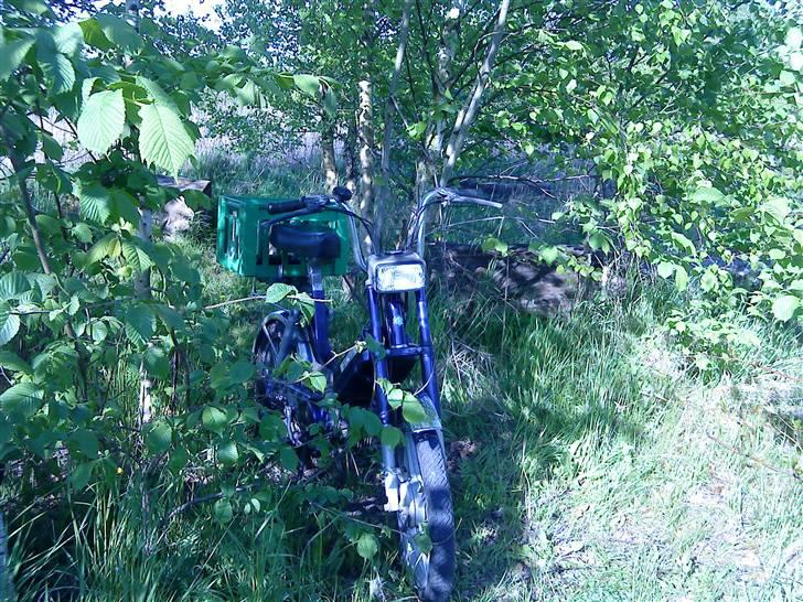 Vespa Bravo billede 12