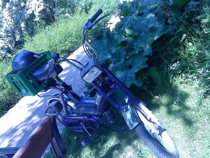 Vespa Bravo billede 14